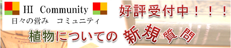 観葉植物掲示板 日々の営み